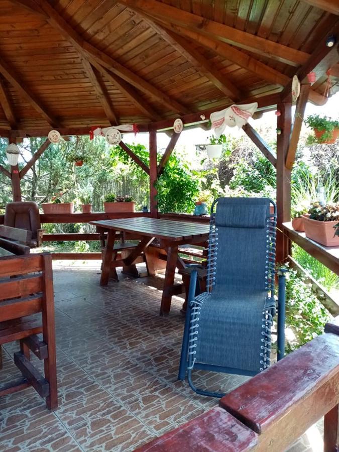 Pensiunea Oana Hotel Balc Exterior photo