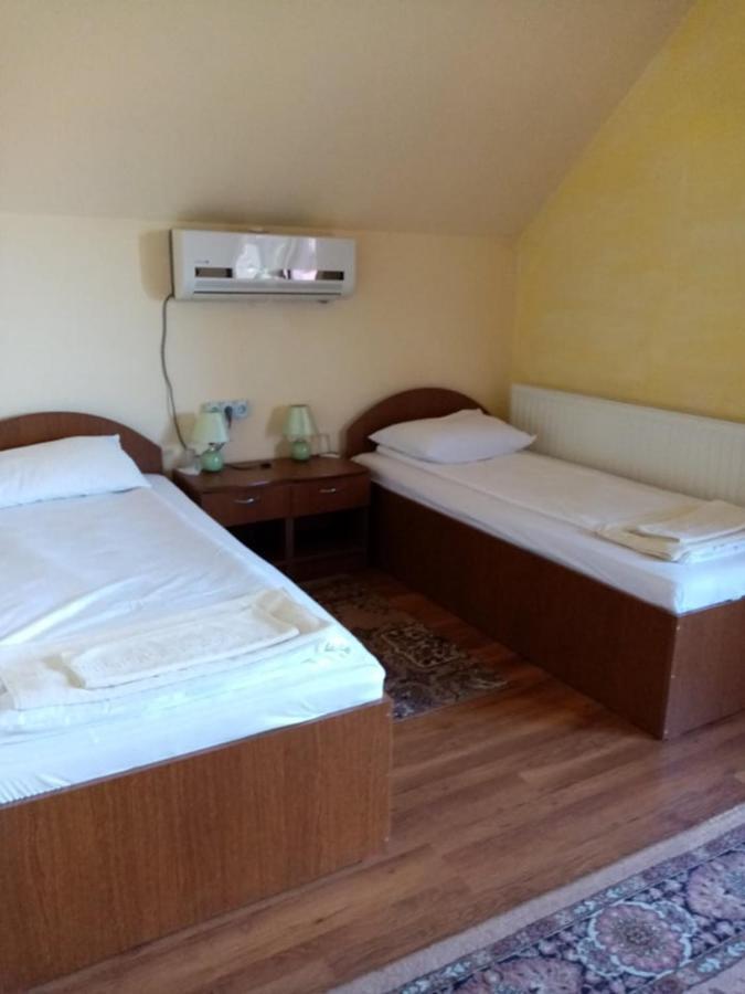 Pensiunea Oana Hotel Balc Exterior photo