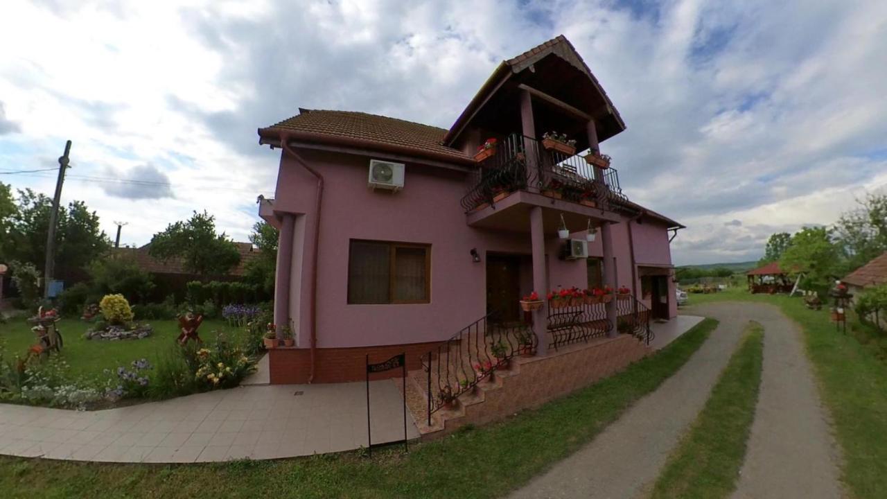 Pensiunea Oana Hotel Balc Exterior photo