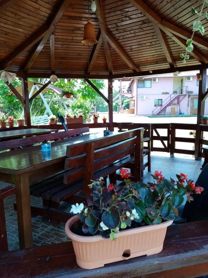 Pensiunea Oana Hotel Balc Exterior photo